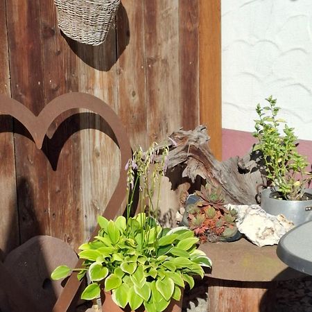 Haus Am Bergli Apartment Herbolzheim Luaran gambar
