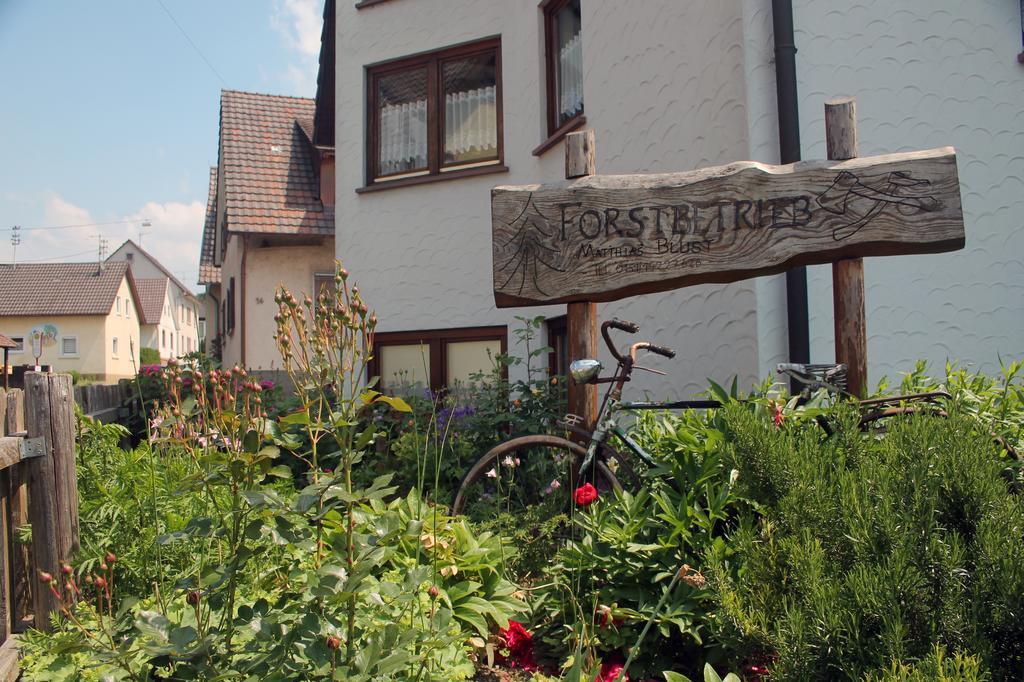 Haus Am Bergli Apartment Herbolzheim Bilik gambar