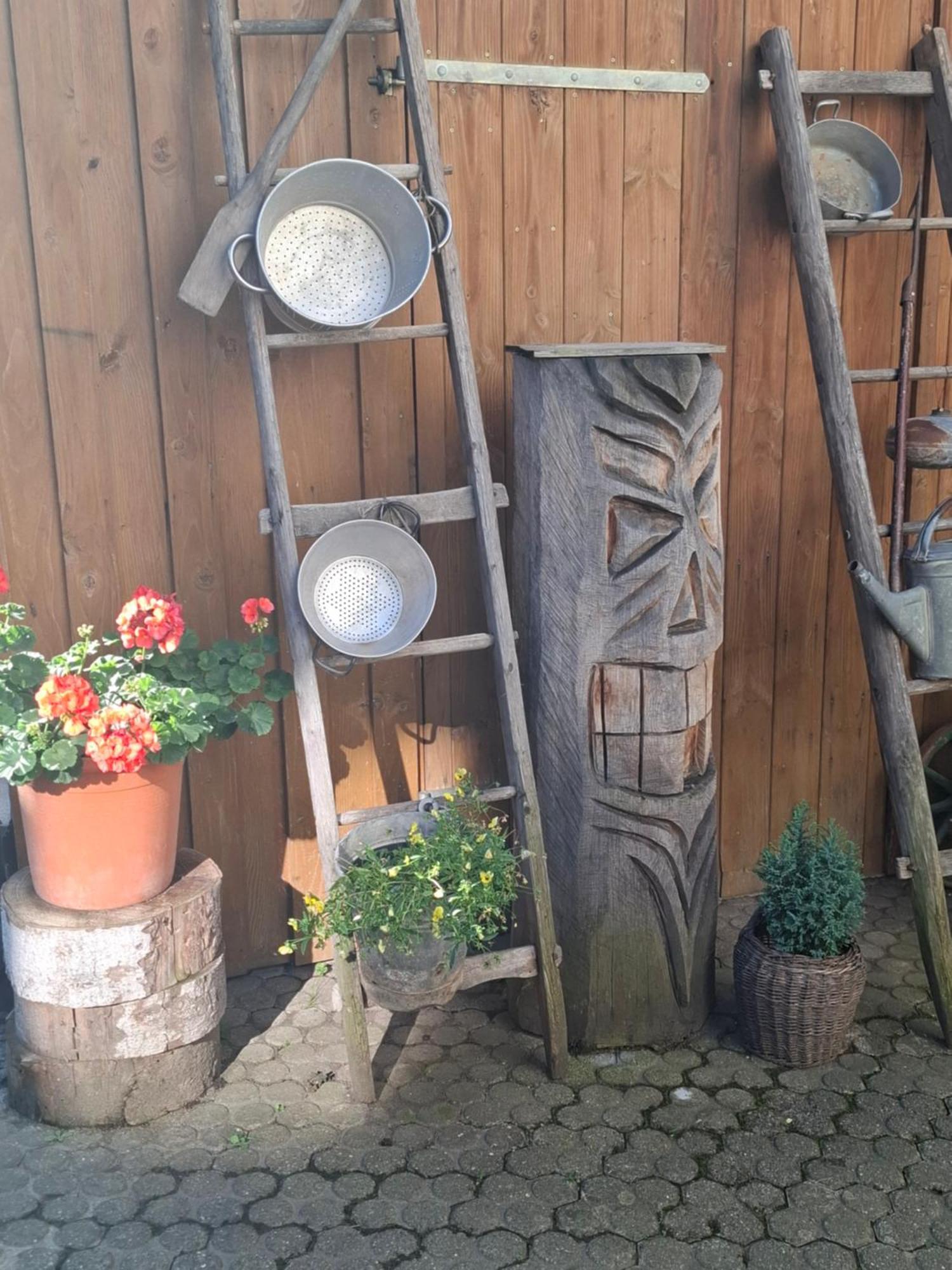 Haus Am Bergli Apartment Herbolzheim Luaran gambar